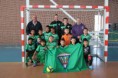 /album/fotogaleria-viejos-heroes/prebenjamin-campeon-de-liga-13-14-jpg/